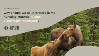 Webinar ''Why Should We Be Interested in the Kunming-Montréal Global Biodiversity Framework''