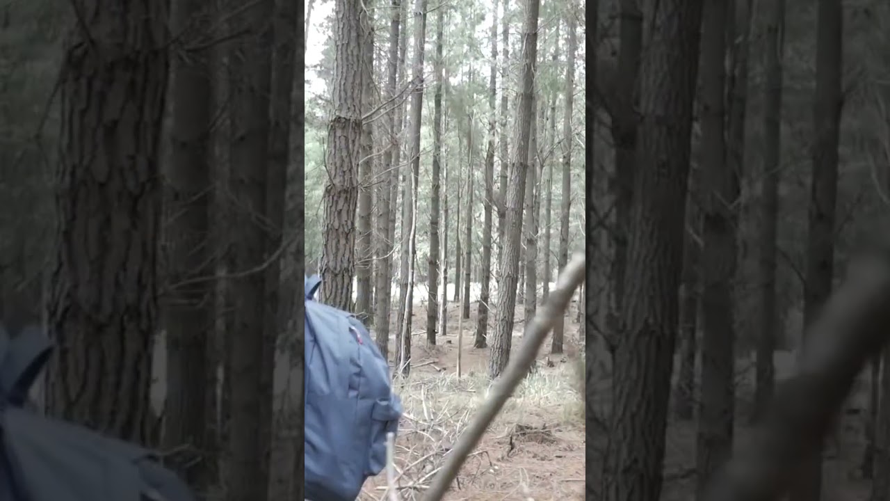 10 июля 2024 г.