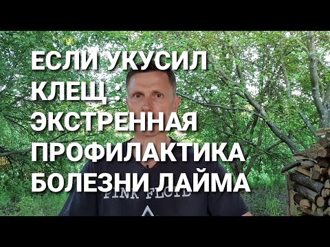 Если укусил клещ: экстренная профилактика болезни Лайма