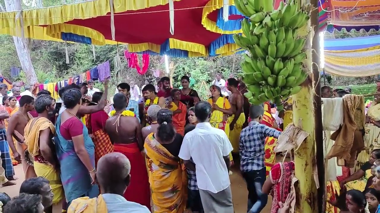 திரு நீலகண்ட வனப்பேச்சி அம்மன் கோவில் கொடை விழா மாலை கும்மி பாட்டு காரையார்