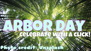 How to Celebrate Arbor Day | Plant A Tree