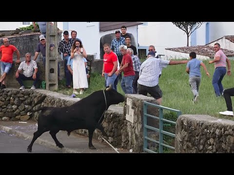 Tourada à corda nas Beiras, 20 de julho de 2024