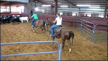 Valley View Ranch - Hannah Merada - sorting 1