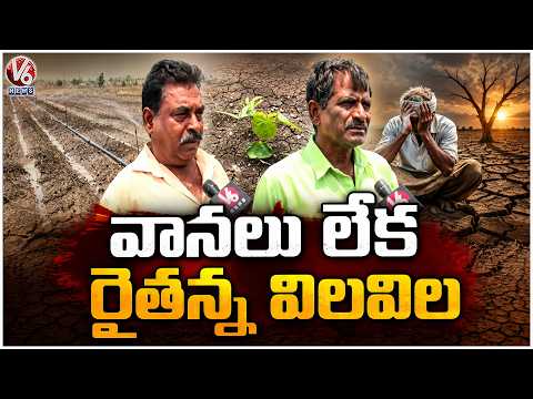 Adilabad Farmers Struggle as Rains Fail; Crops Wither, Leaving Farmers in Distress | V6 News - V6NEWSTELUGU