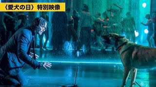 『ジョン・ウィック：コンセクエンス』“愛犬の日”特別映像