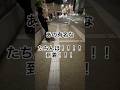 ドンキで大量に買ったコン○ームを使う方法in立○んぼ大久保公園#歌舞伎町#パトロール