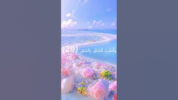 كلا اذا بلغت التراقي وقيل من راق القارئ بندر_بليلة