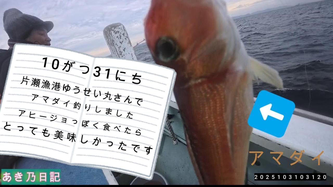 神奈川県片瀬漁港ゆうせい丸さんでアマダイ釣りしました