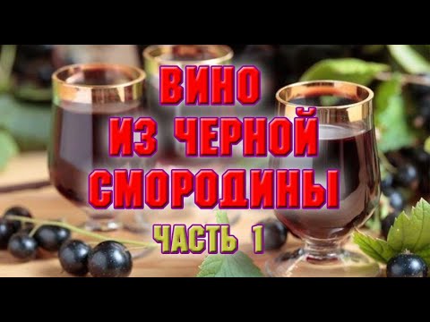 ВИНО ИЗ ЧЕРНОЙ СМОРОДИНЫ  Часть 1