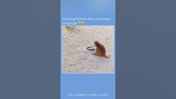 learning python 🐍 #python #pythonprogramming #funny #coding #viralshort #trending