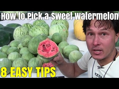 Video: How Not To Be Mistaken In Choosing A Melon