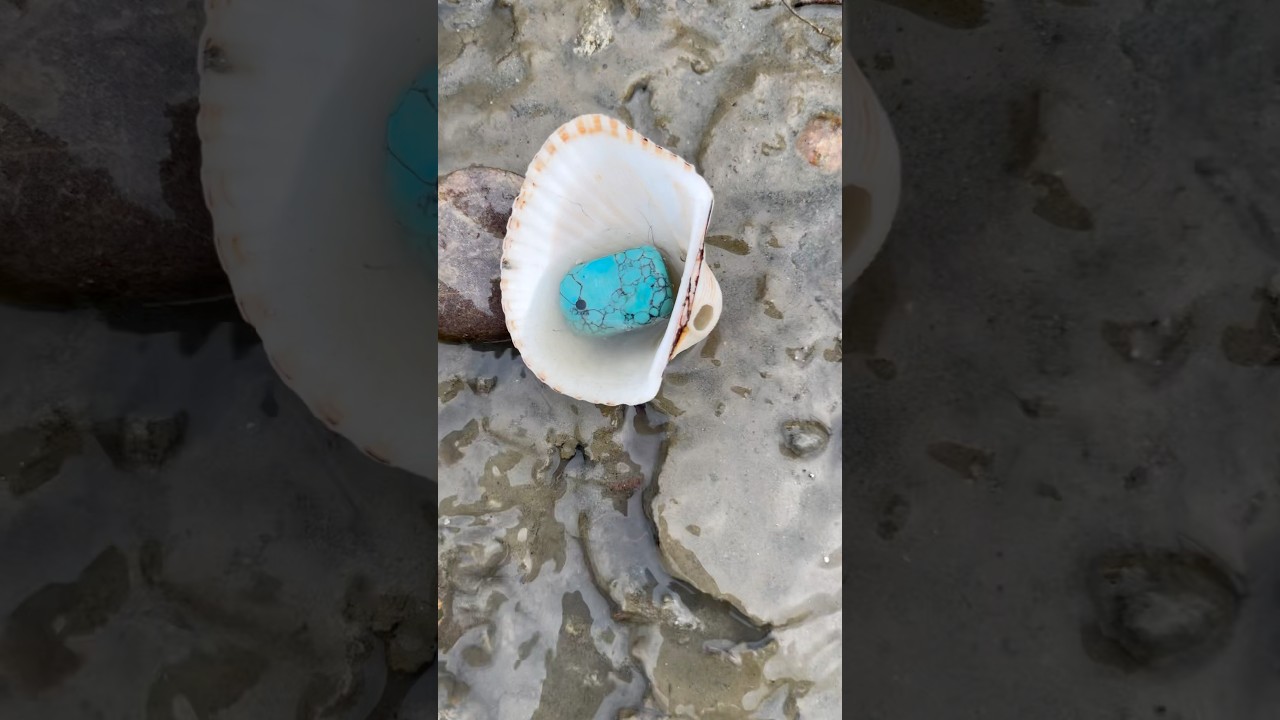 Uncovering Real Gems in Treasure Hunt | Precious Stones Found