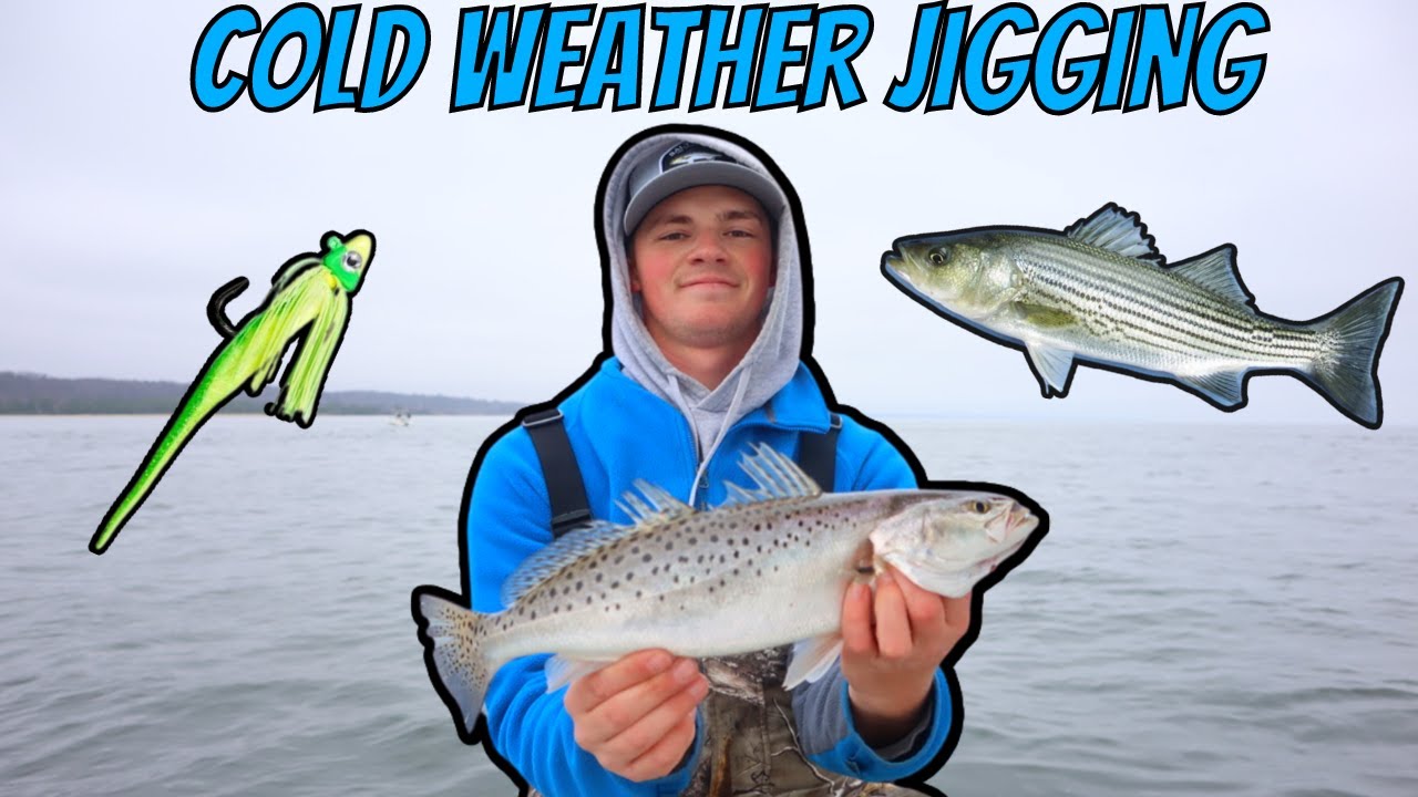 WINTER Fishing on the CHESAPEAKE BAY Speckled Trout and Rockfish! YouTube
