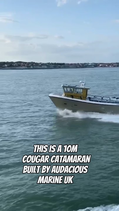 10m cougar catamaran