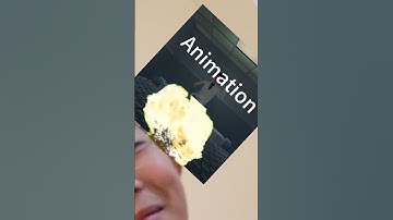 I did not have fun making animations.