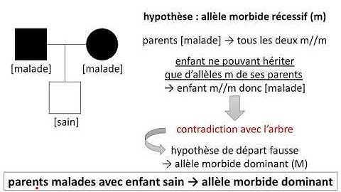 Comment démontrer qu'une maladie héréditaire se transmet de manière dominante ?