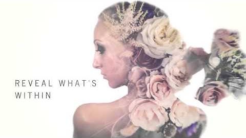 Double Exposure Kit - Project for After Effects (Videohive)