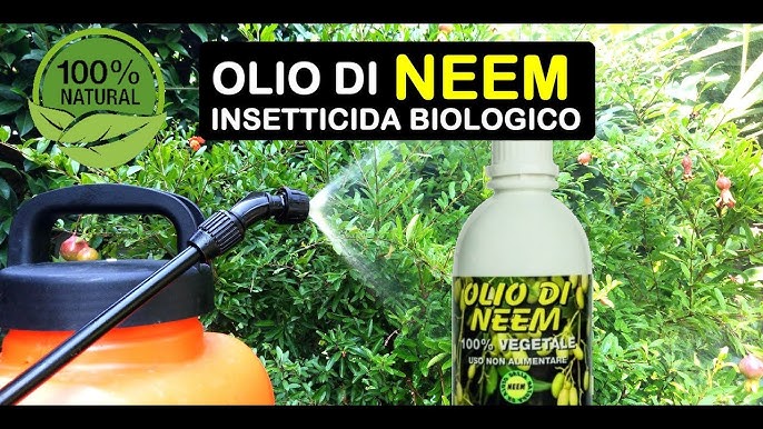 OLIO BIANCO TRATTAMENTO INSETTICIDA 