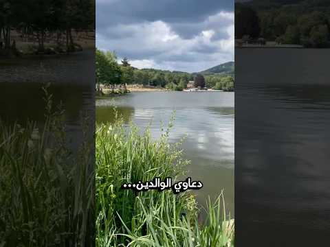 ديدين كلاش سمحت ومشيت     ابلور