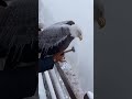 so crazy #viral #trending #short