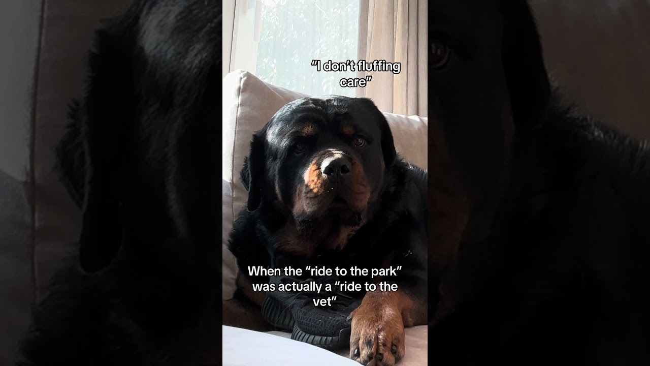 “Can’t believe this” 