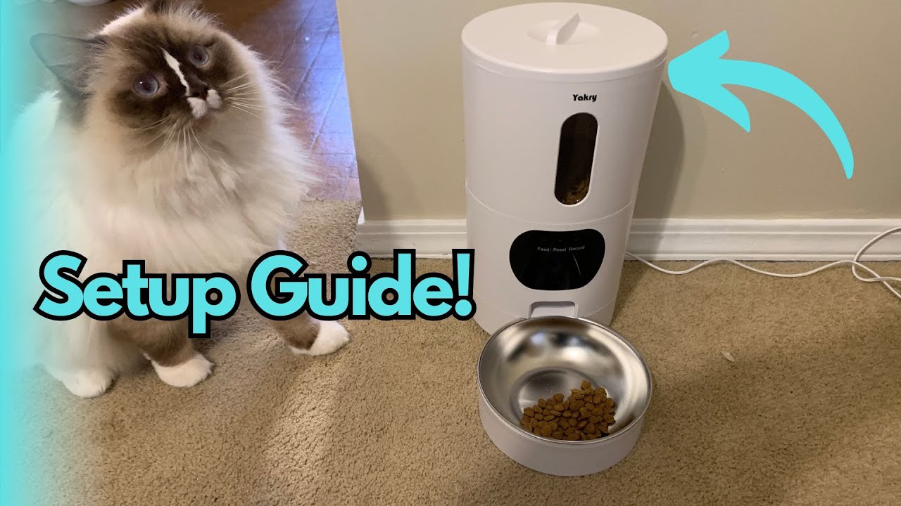 Yakry Automatic Cat Feeder Setup Guide YouTube yakry-automatic-cat-feeder-setup-guide-youtube