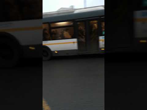 Автобус лиаз 5292.
