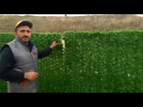 Video: Kaynaksız Oluklu Mukavvadan Yapılmış Bir çit Için çitler: Aksesuarlar. Kaynak Yapmadan Kendi Ellerinizle Bağlantı Elemanları Ile Profilli Bir Levhadan Prefabrik Bir çit Nasıl Yapıl