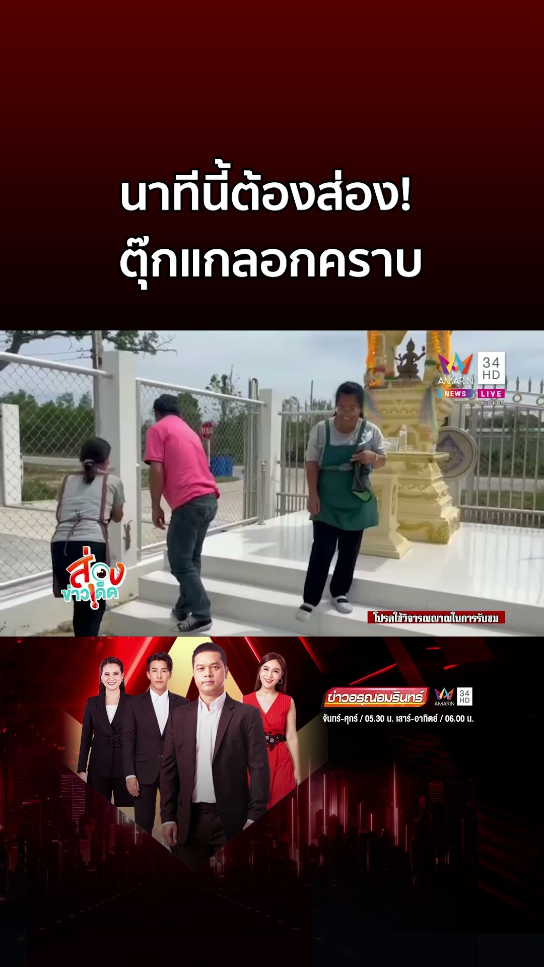 นาทีนี้ต้องส่อง! ตุ๊กแกลอกคราบ หาดูยาก | ข่าวอรุณอมรินทร์