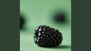 Riang Malam Bernafas