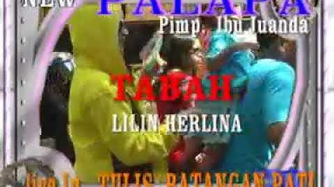 NEW PALLAPA TABAH LILIN HERLINA