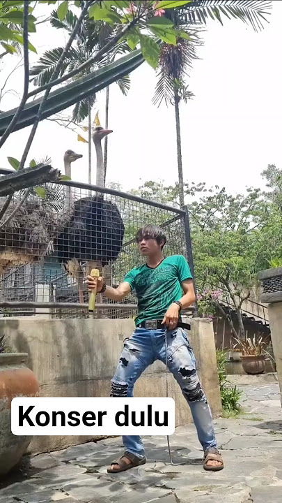 Sikomat konser di kebun #sikomat #fyp #shorts #tiktok #viralvideo