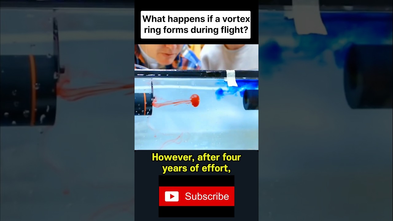 What happens if a vortex ring forms during flight?