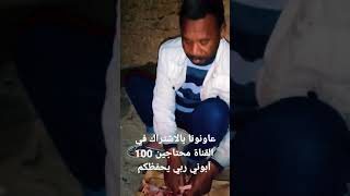 احمد البدي وشواء تاع لحم طيرها لام وليد في طبخ