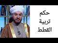 حكم تربية القطط الشيخ وليد الحسيني