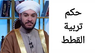 حكم تربية القطط الشيخ وليد الحسيني