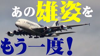 【成田空港】あのころ、まだサンパチは元気だった！コロナ寸前の2019年、元気に飛び交っていたエアバスA380の雄姿を振り返る