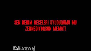 Sevenin Gönlünde Fenerbahçe Edit