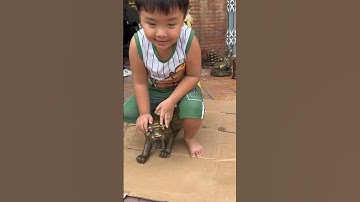 Hổ đồng to #đồcổcầnthơ #phongthuy #đồcổ #dogothuhuyen