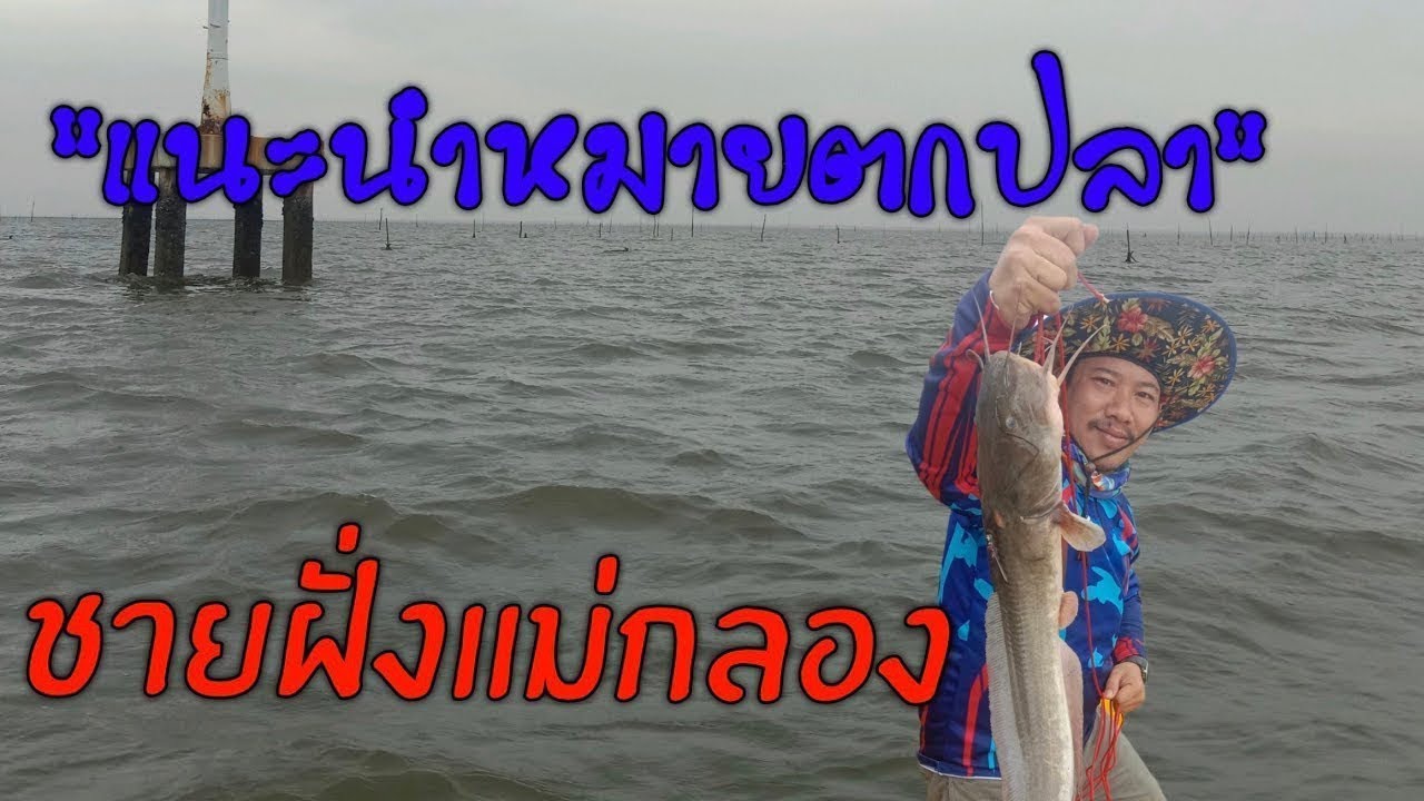 แนะนำหมายตกปลาชายฝั่งแม่กลอง #ep01