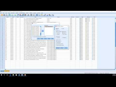 How to run Descriptive Statistics in SPSS