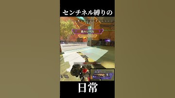 【APEX】センチネル、近距離行けるよやっぱ【まめんぬ】 #apexlegends #apex