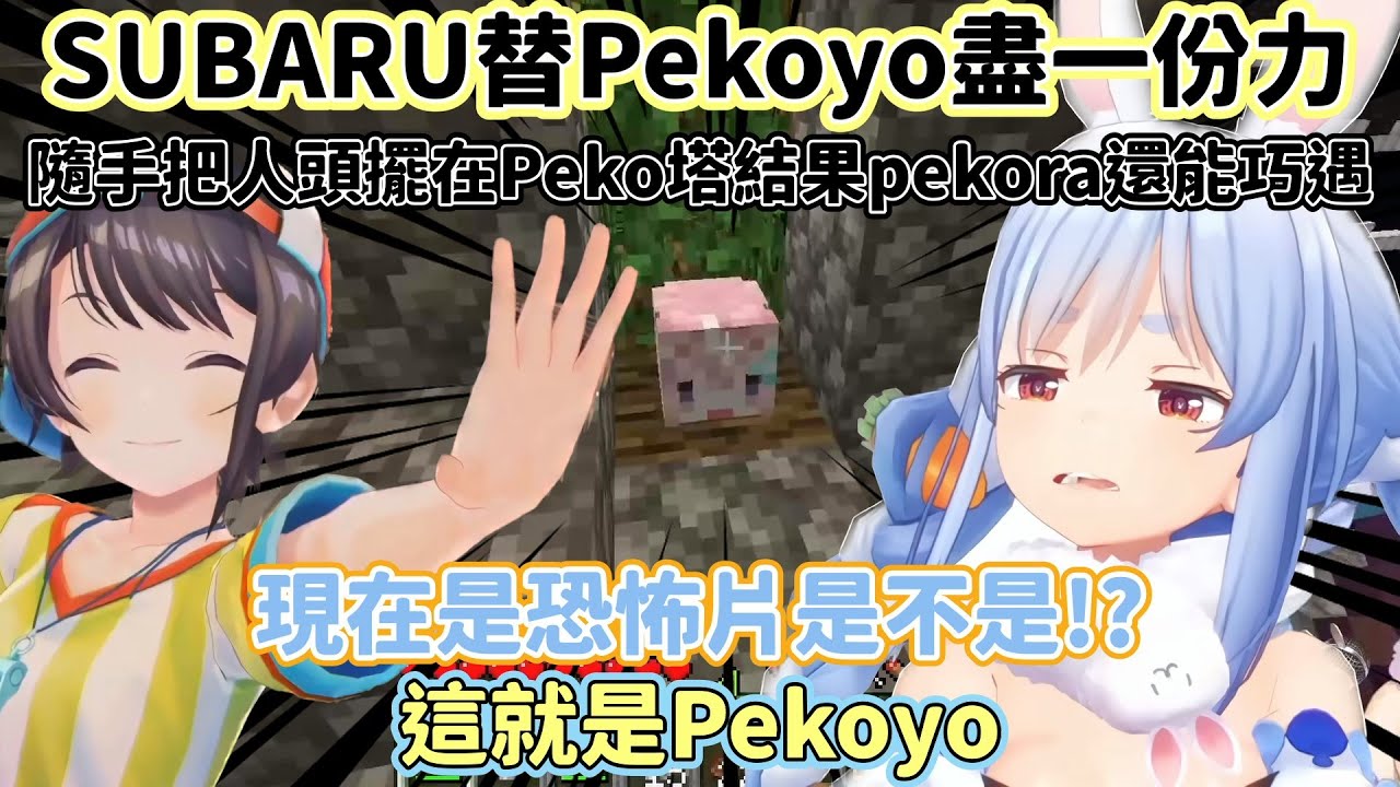 【大空昴/兔田佩克拉】PEKORA被突然一顆頭嚇一大跳【Hololive】【VTuber中文翻譯】
