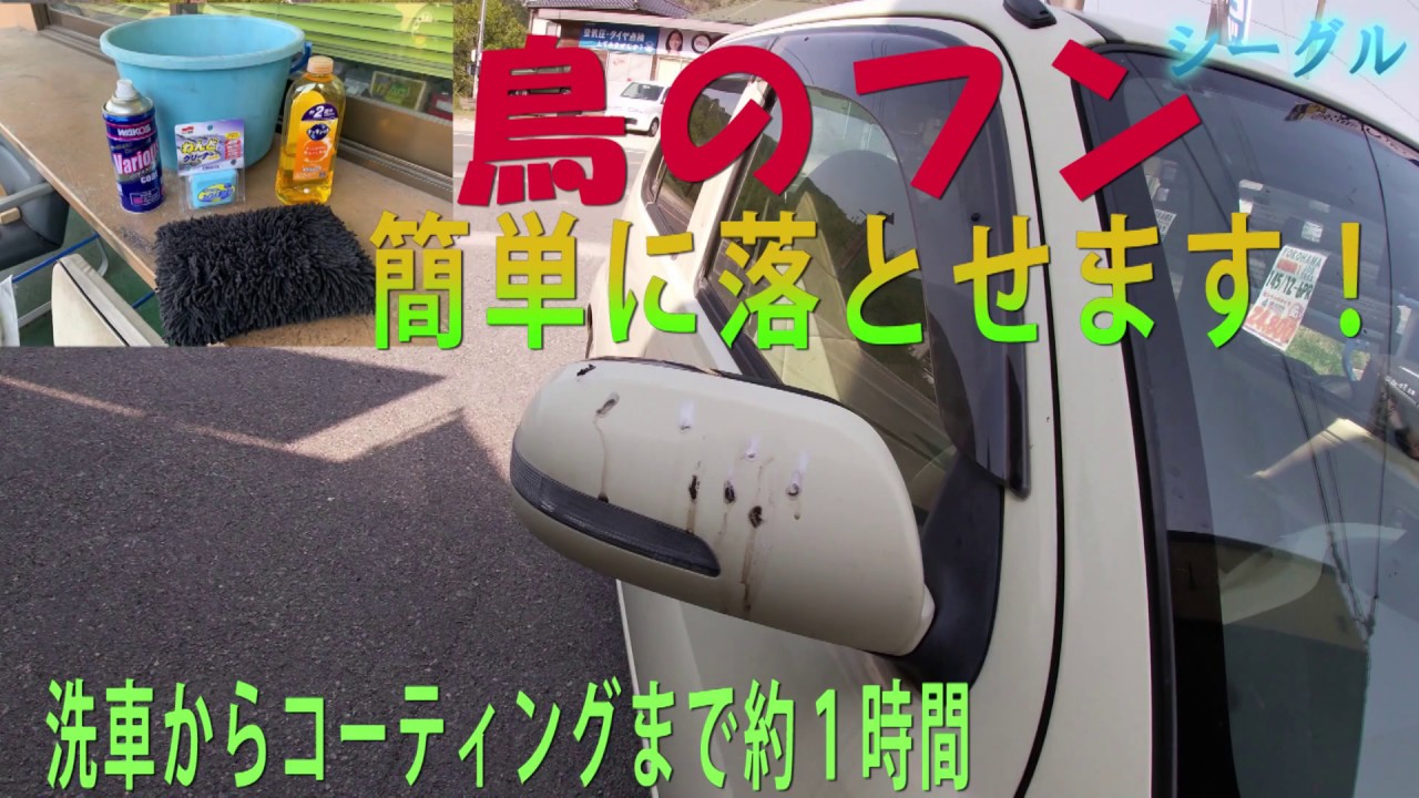 蜂 の フン 対策 車