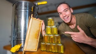 How honey is harvested - From beehive to jars