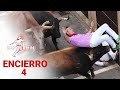 Cuarto encierro de san fermn 2023  toros de fuente ymbro