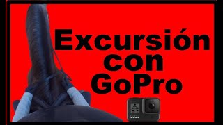 Horse route with GoPro through Barcelona. Horseback riding, horseback riding, equestrian route