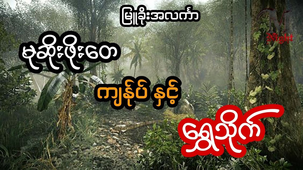 မုဆိုးကြီးဖိုးတေ နဲ့ အမဲလိုက်ရင်းတွေ့ခဲ့တဲ့ ရွှေသိုက် - စဆုံး