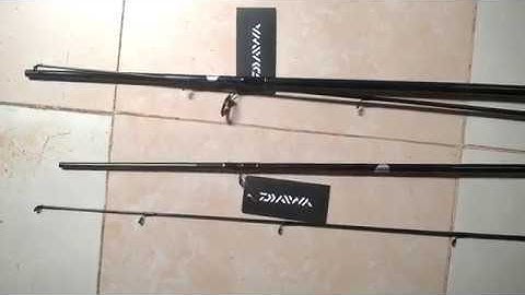 Cần câu cá Daiwa chuyên câu lure