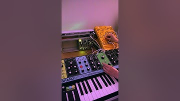 Ambient Modular@intellijel Mutable Plaits + Marbles @teenageengineering PO 400 + MOOG Grandmother